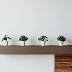 Dd Apartment *